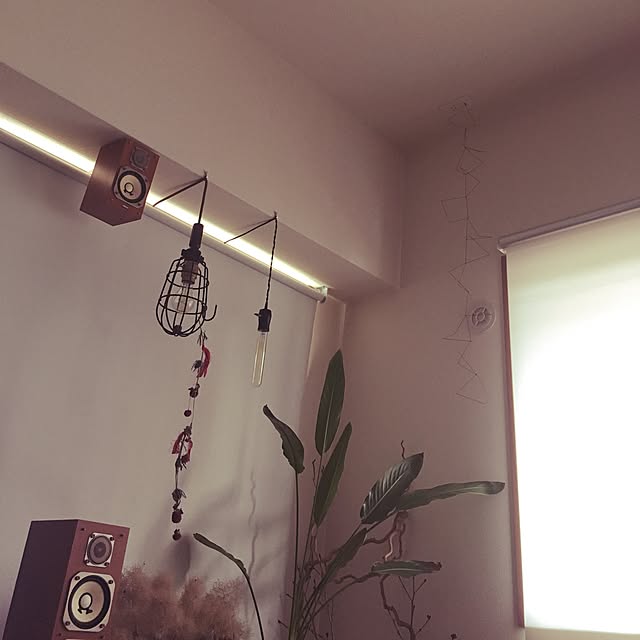 irocomaさんの実例写真