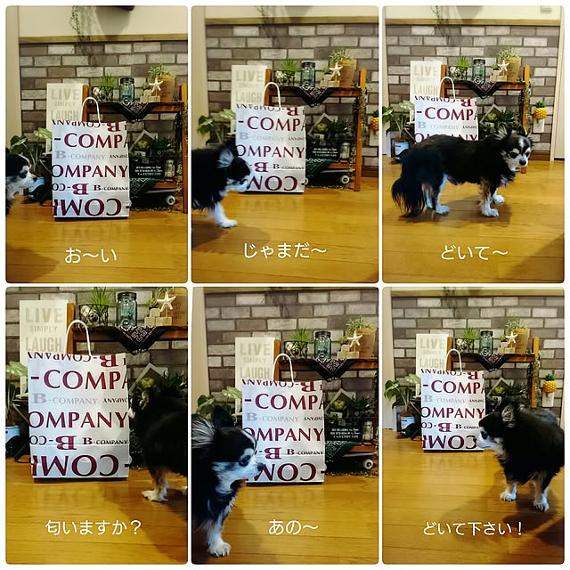 Naさんの実例写真