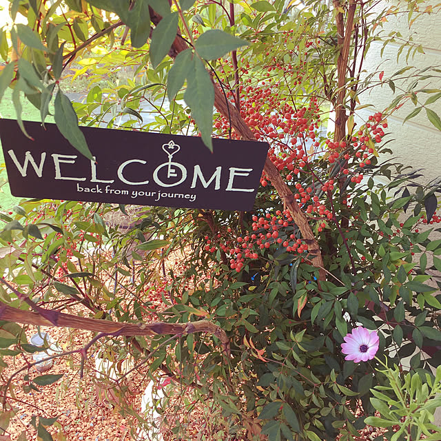 rintaimamaさんの実例写真