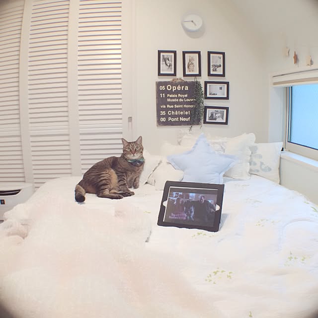 lovecatさんの実例写真