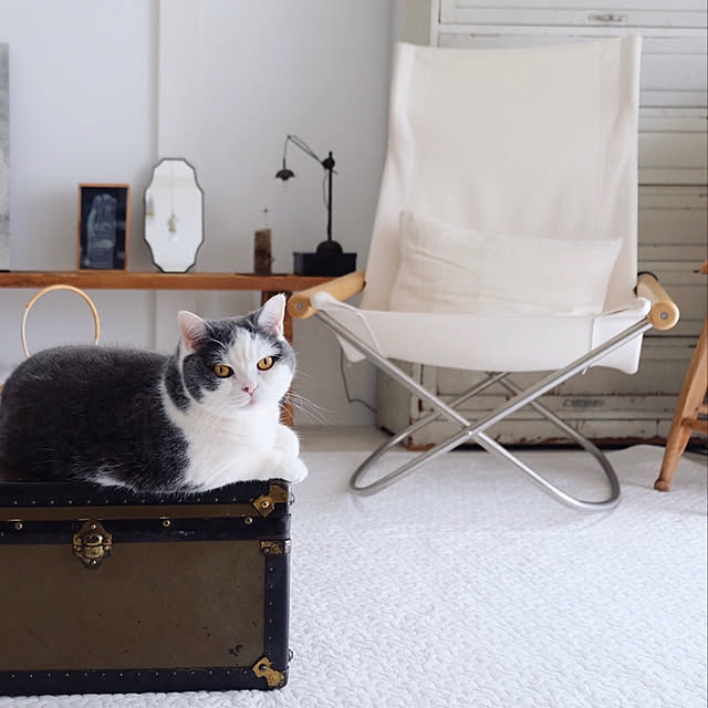 yunさんの実例写真