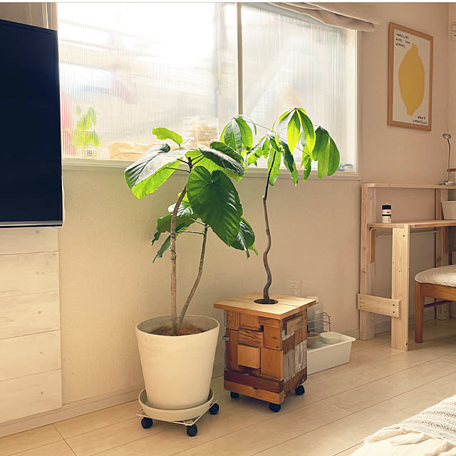 t-famさんの実例写真