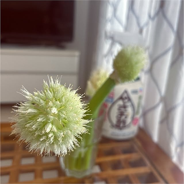 chisaさんの実例写真