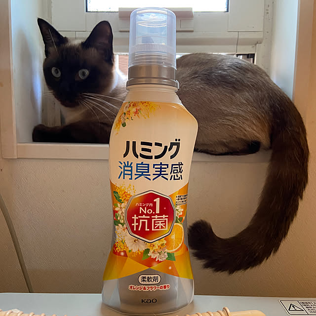 arashi530さんの実例写真