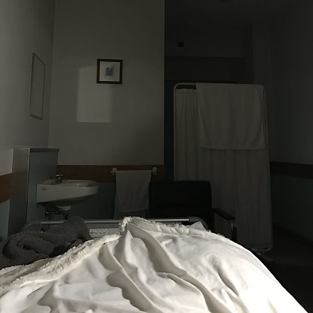 Shihoさんの実例写真