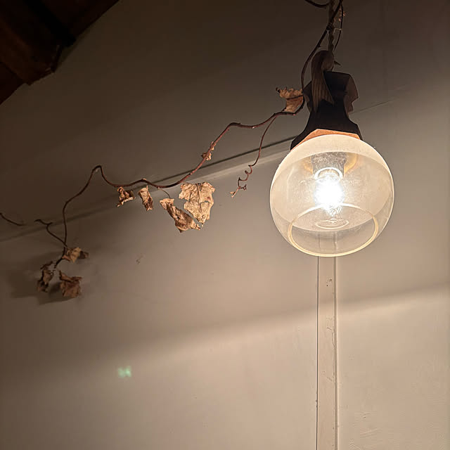 teraさんの実例写真