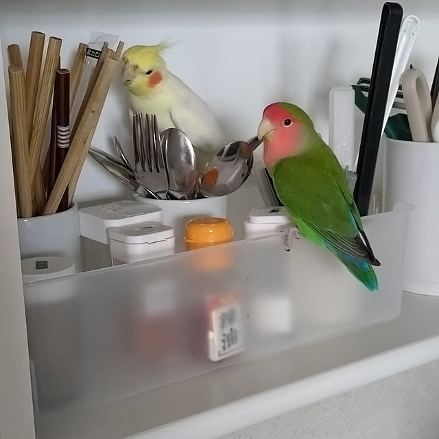 toratanさんの部屋