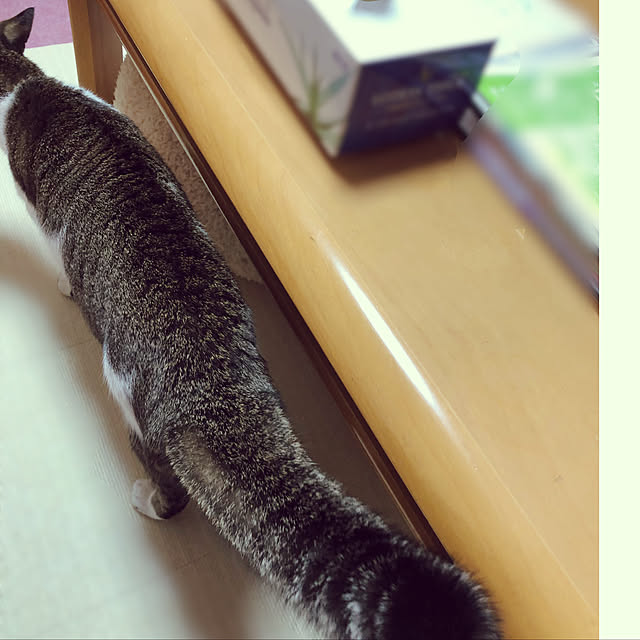 haruminさんの実例写真