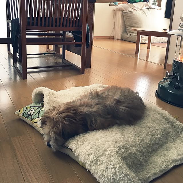 soramameさんの実例写真