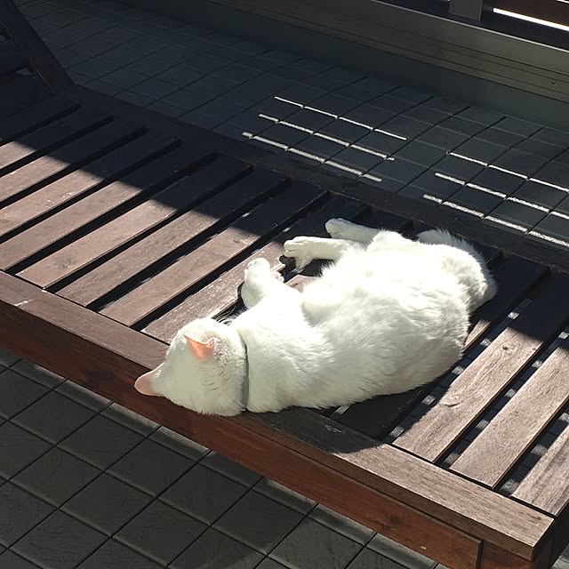 riechanさんの実例写真