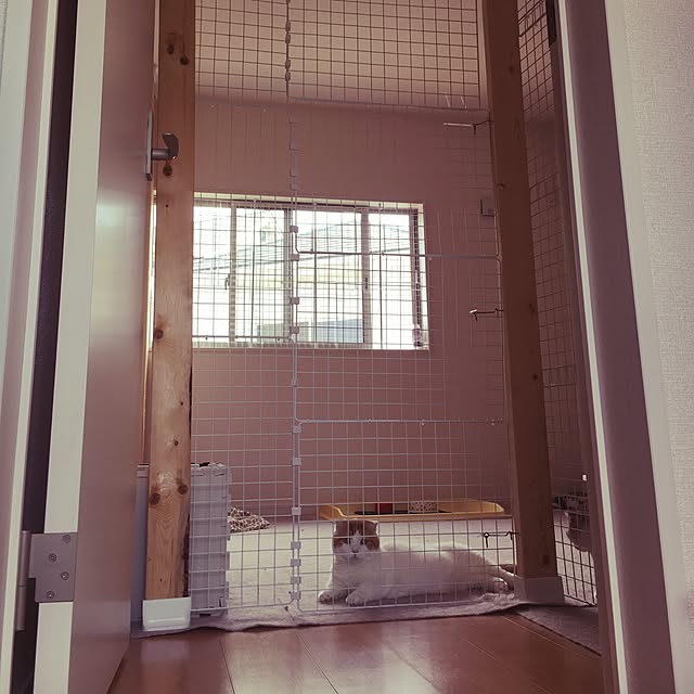 scarletさんの実例写真