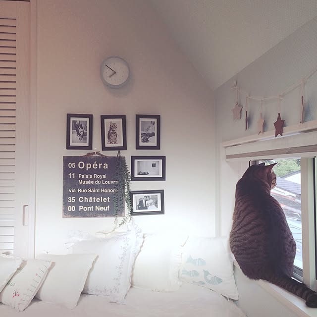 lovecatさんの実例写真