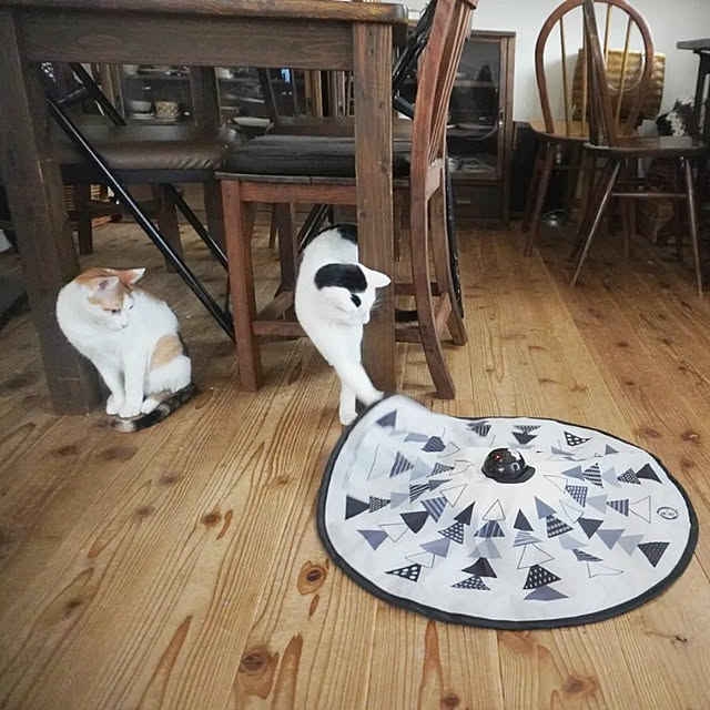 slow-lifeさんの実例写真