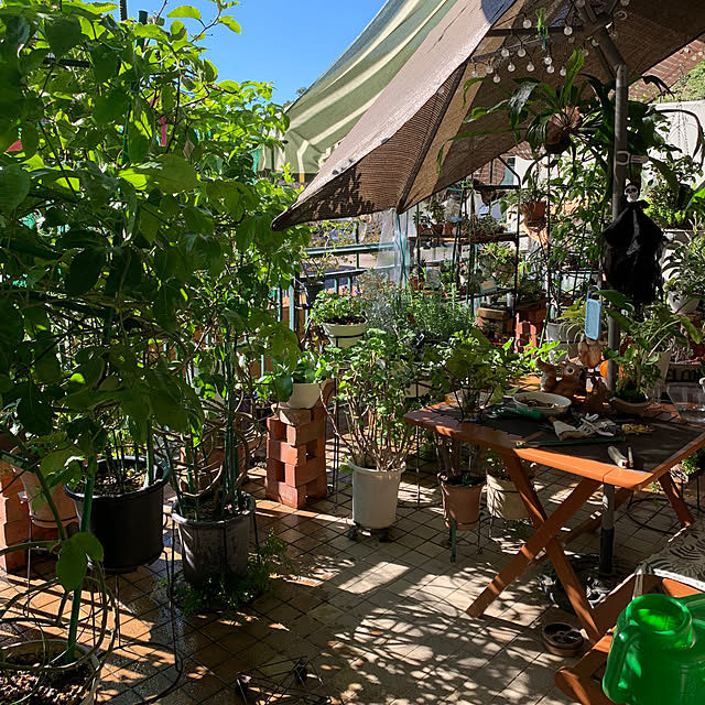 Aqettyさんの部屋