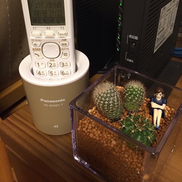 teruchanさんの実例写真