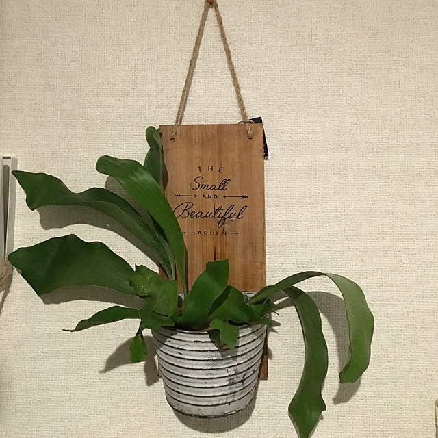 tetra163さんの実例写真