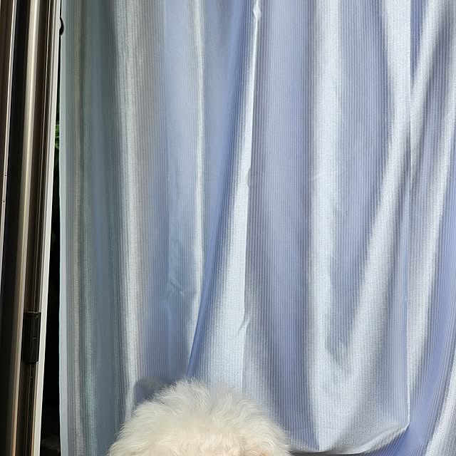 takoさんの部屋
