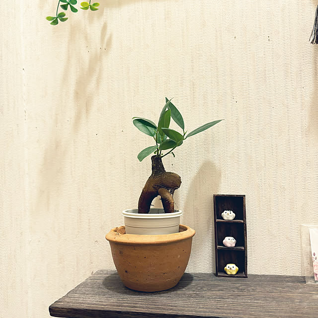 cyaroさんの実例写真