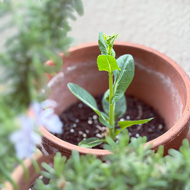 madamkaoriさんの部屋