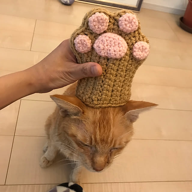 Satokoさんの実例写真