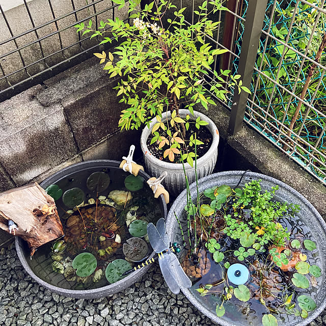 satoreruさんの部屋