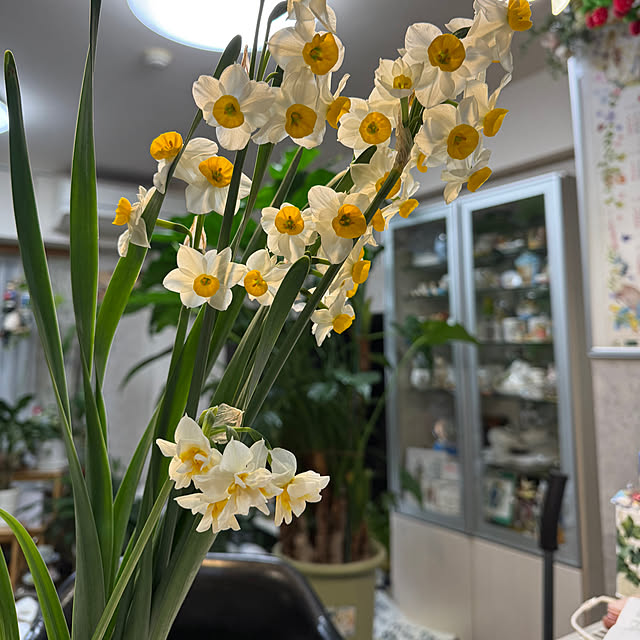 Aqettyさんの部屋