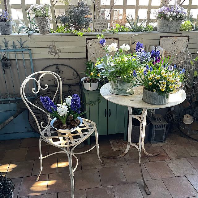 mamisazさんの部屋