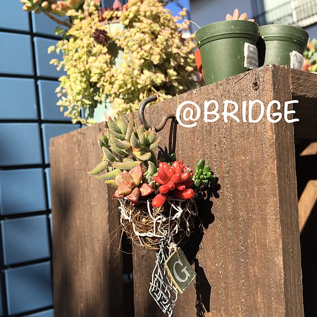 bridge2080さんの実例写真