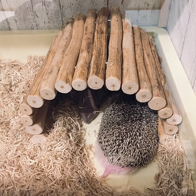 yu_kiさんの実例写真