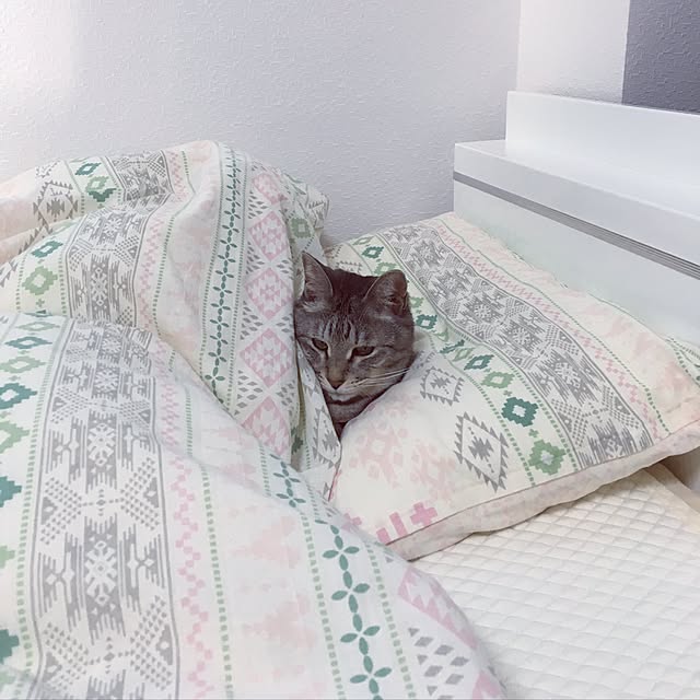 222さんの実例写真