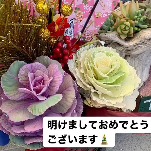 Fumiさんの実例写真