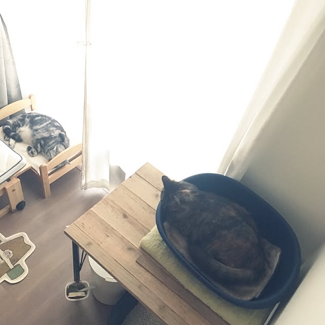 mikomaruさんの実例写真