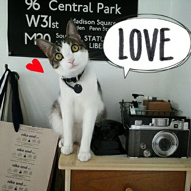 sayappeさんの実例写真