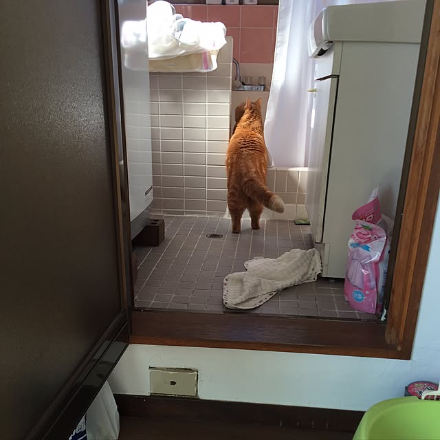 m.kantoh18_mikkoさんの実例写真