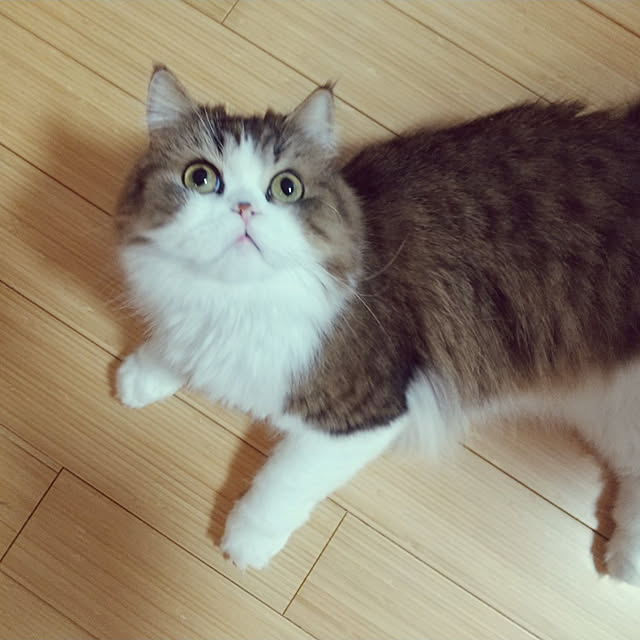 yk88さんの実例写真