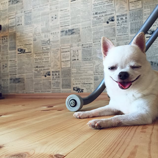 unataroさんの実例写真