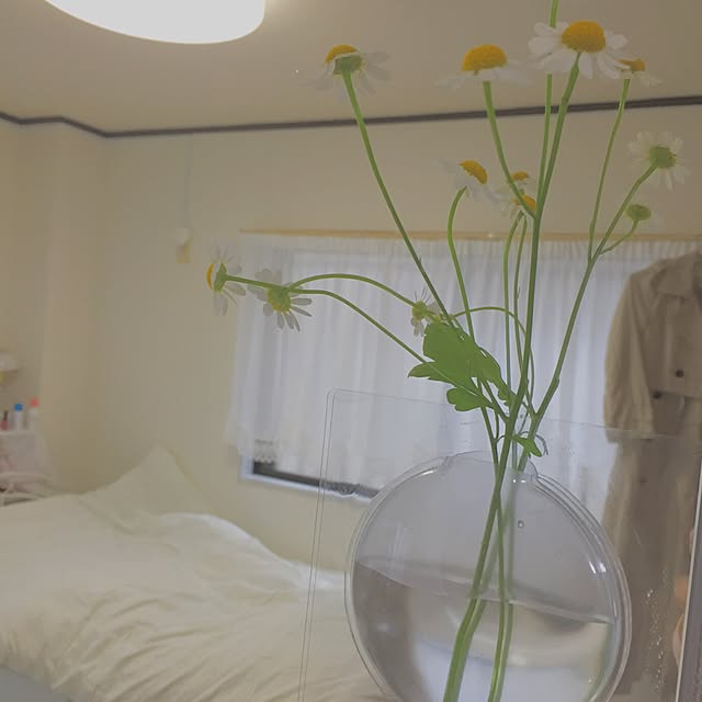 壁/天井のインテリア実例 - 2016-03-19 12:48:06