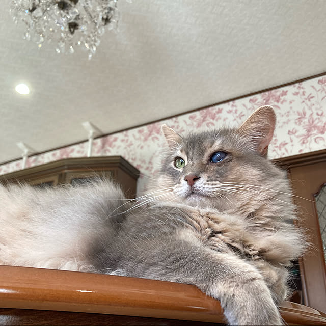 moeさんの実例写真