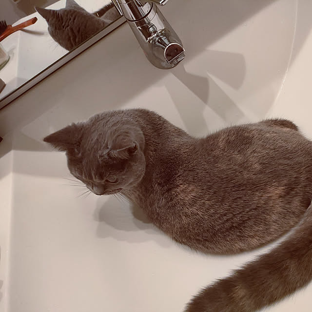 mamuさんの実例写真