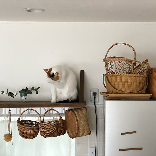 kajiさんの実例写真
