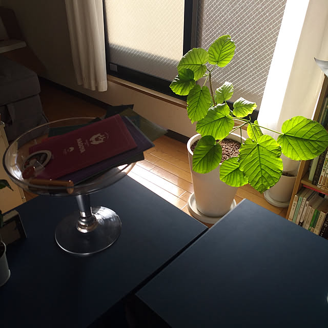 棚のインテリア実例 - 2019-11-30 13:36:35