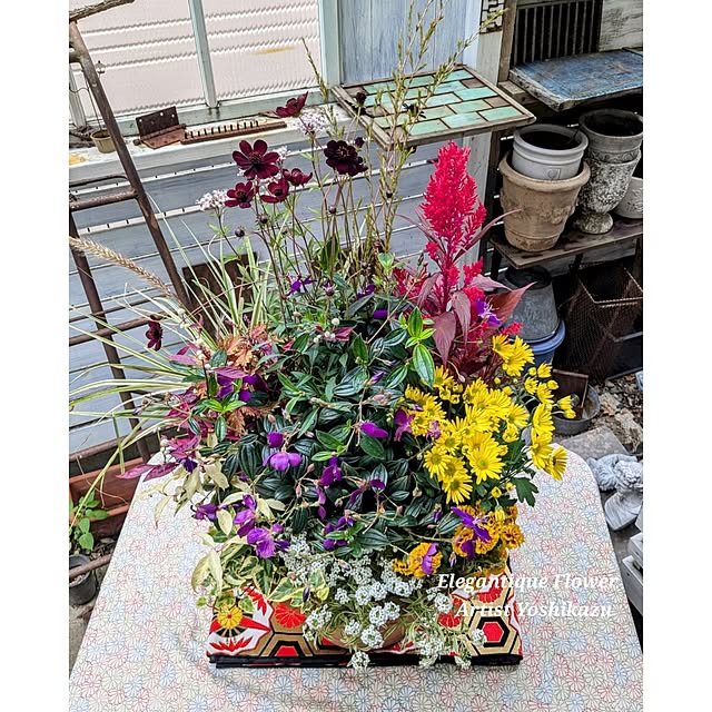 ElegantiqueFlowerさんの部屋