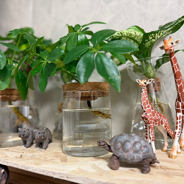 Yoshimiさんの部屋