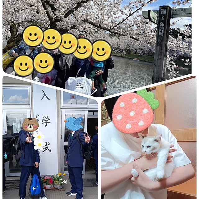 ruantaiさんの部屋