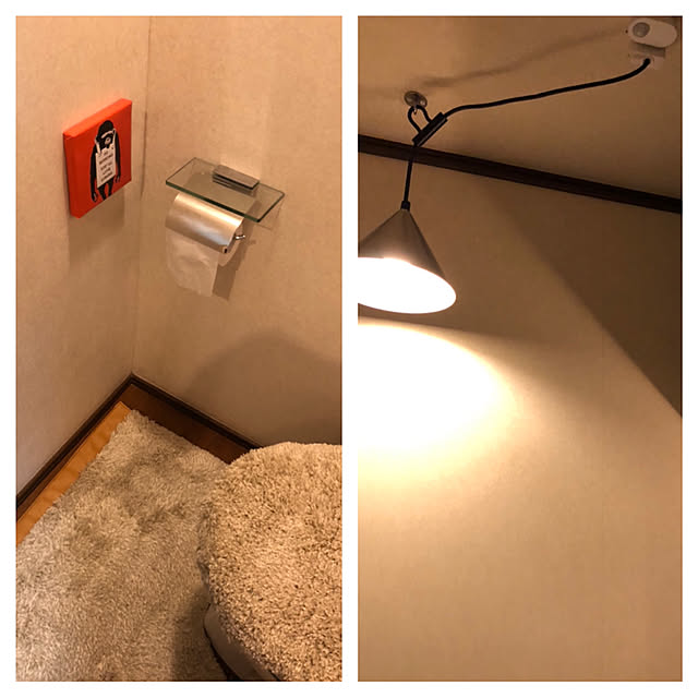 トイレのインテリア/DIY/カフェ風/男前/IKEA...などのインテリア実例 - 2020-12-12 11:48:52