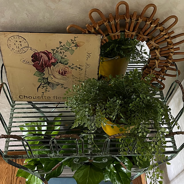 cotaさんの部屋