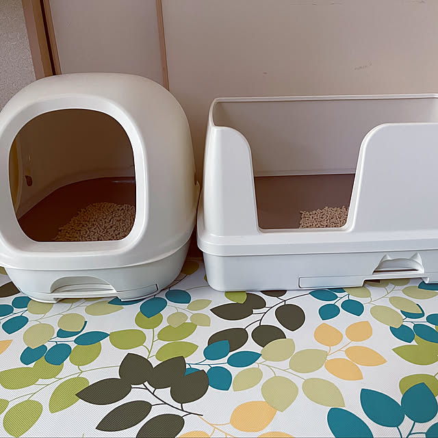 chiiさんの部屋