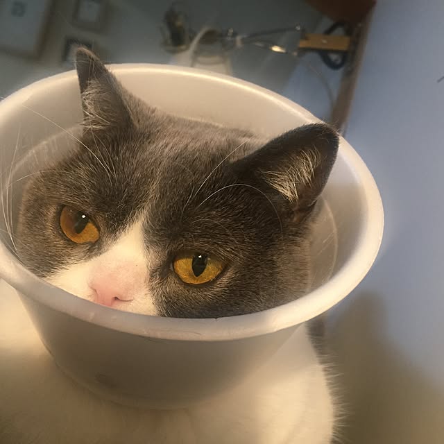 mohayaeteさんの実例写真