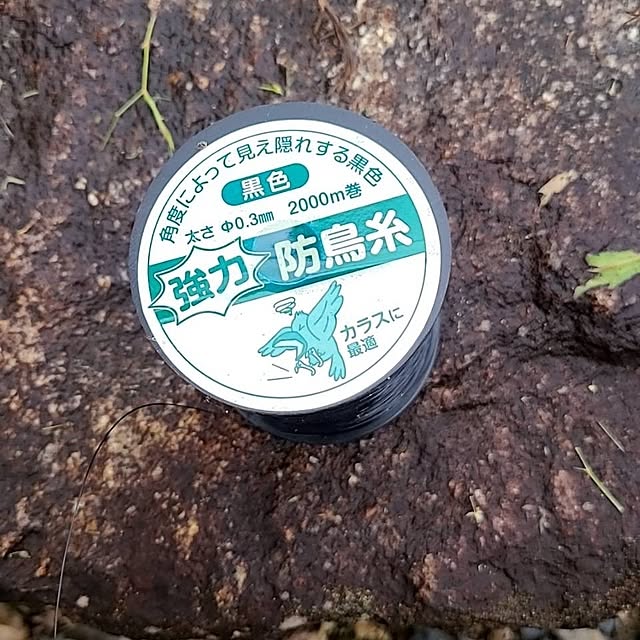 Rubiconさんの部屋