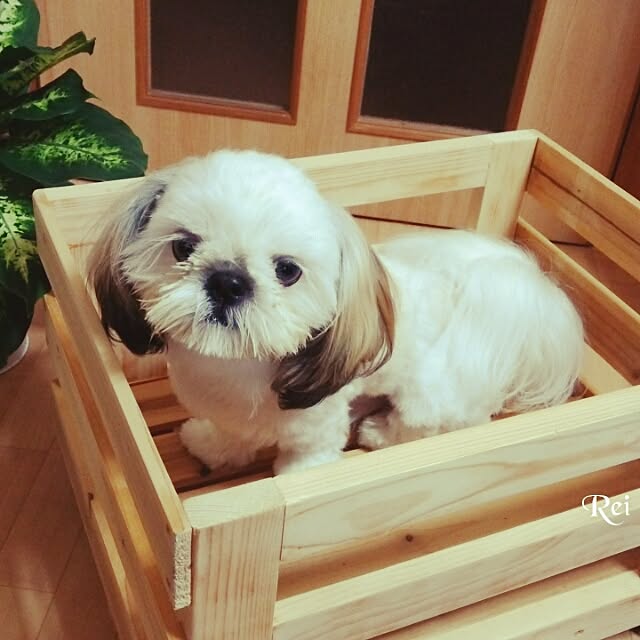 Reiさんの実例写真